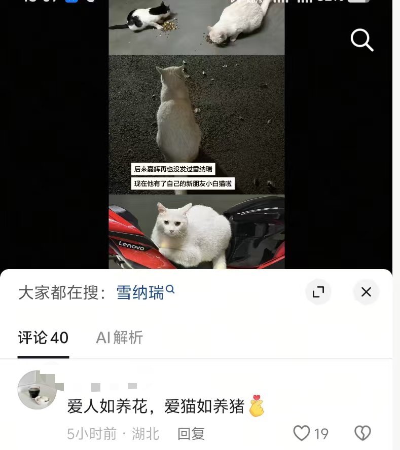 哈哈哈，笑鼠我了，口碑这一块 ​​​