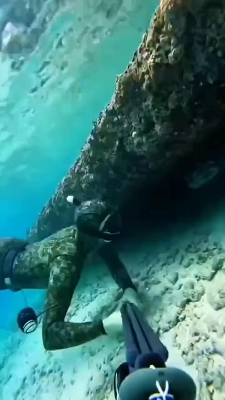 请注意。