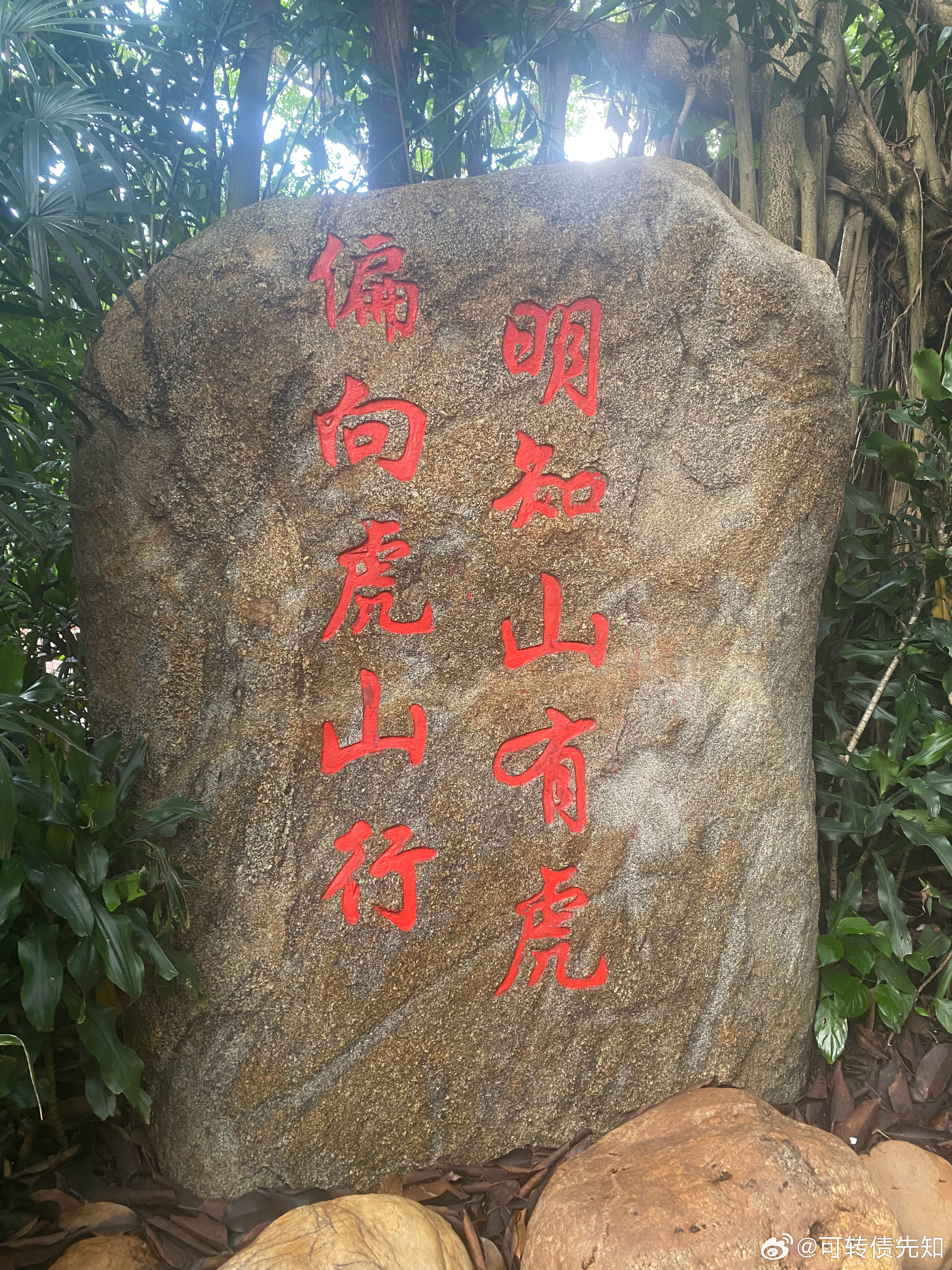交易修心：盈利的根基从来不是行情，而是自己炒股这条路上，绝大多数人亏钱，从来不是