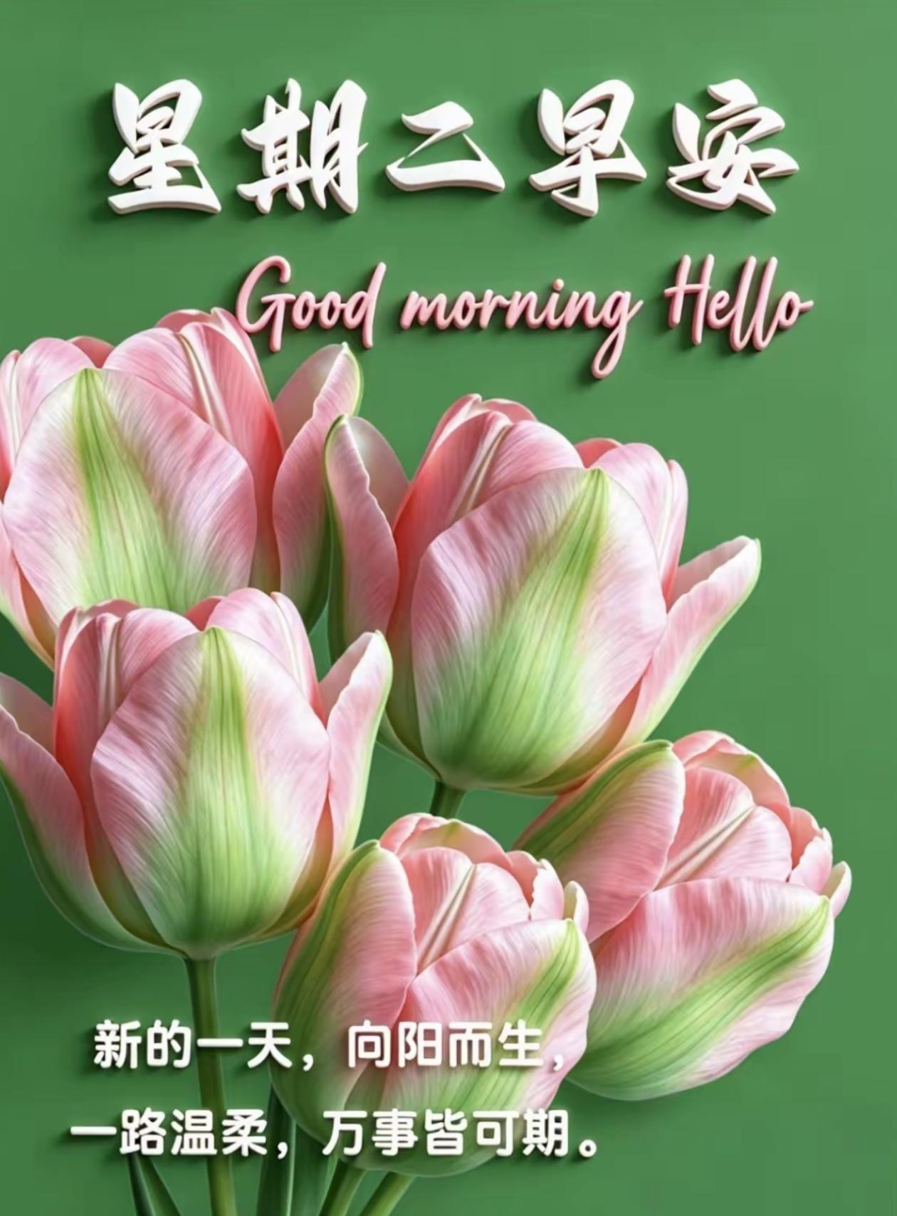 🌺☘️6./2.芒种至.勤耕不辍折桂时🌺

🌿🌸至学子🌸🌿

夏至时