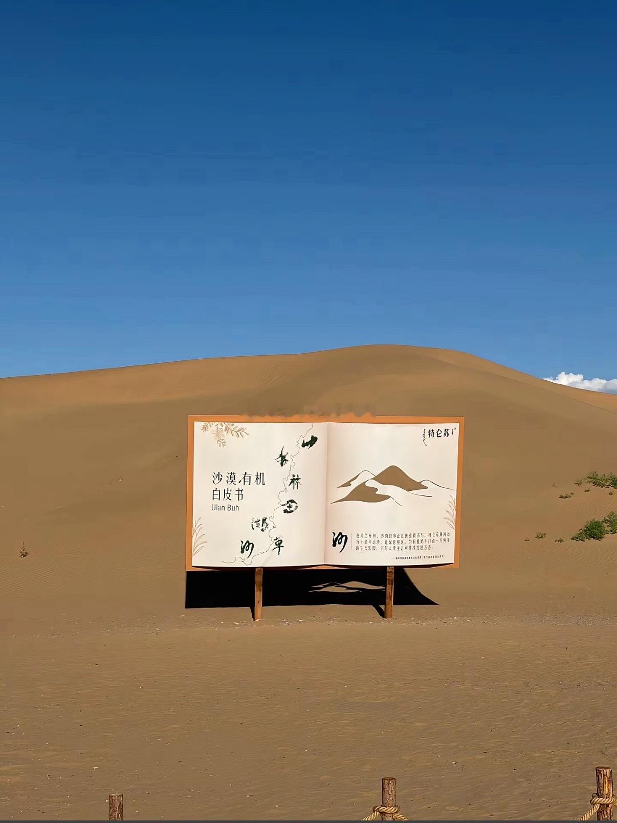 乌兰布和真的太颠覆我对沙漠的印象了🏜️。一边是黄沙绵延，一边是绿洲成荫，牧草在