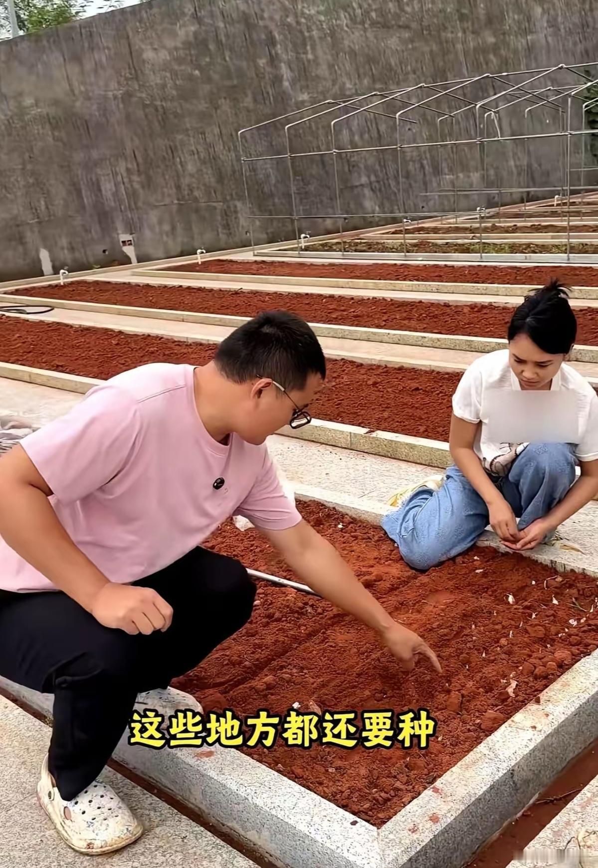 小二娃吴晓慧小夫妻间，两口子都是安安静静过日子不吵架的，岂不是很美好。
当然好，