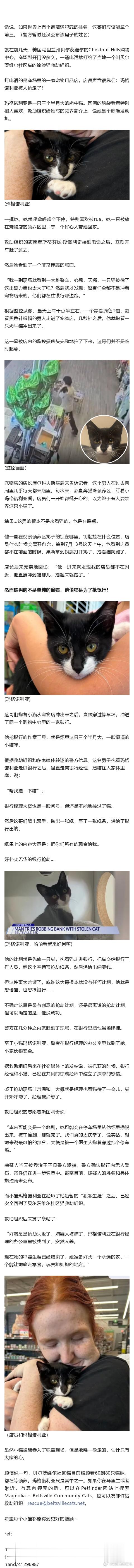 男子偷了一只猫，然后抱着猫去抢银行？！ 猫猫：被迫开启犯罪生涯.... 