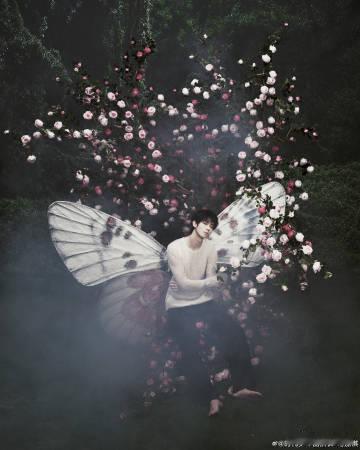 马嘉祺花海蝶翅好病娇马嘉祺破碎感溢出屏幕蝶落繁花之间，马嘉祺自带挥之不去的破碎美