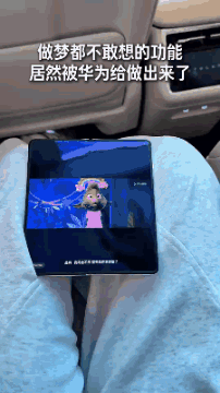 华为专注于达成中国人对法术的执念