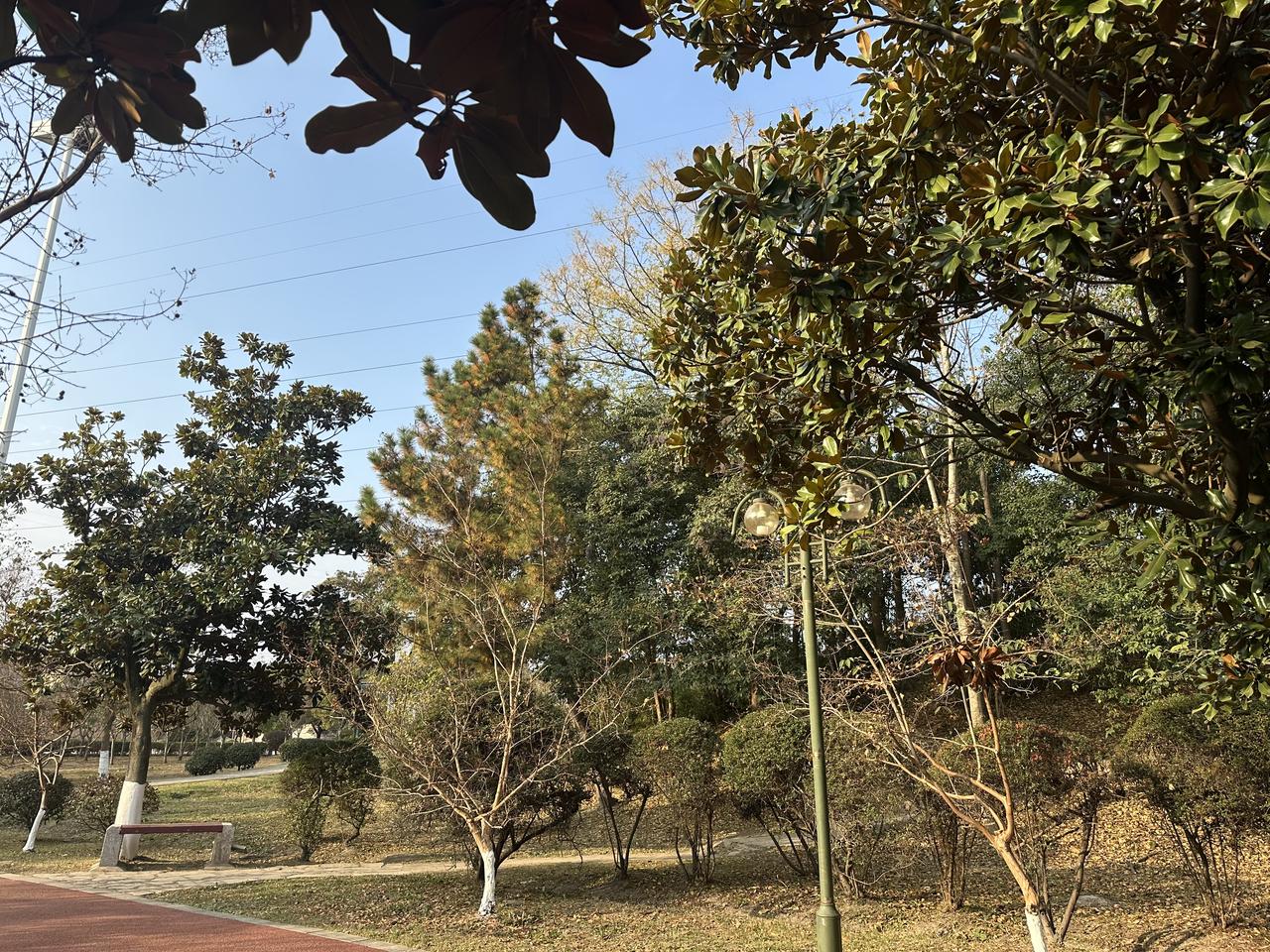 冬日生活打卡季公园随拍