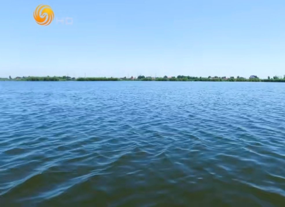 雄安生态向好白洋淀鸟增90种鱼翻倍白洋淀的生态修复，不是简单的“回归自然”。五大