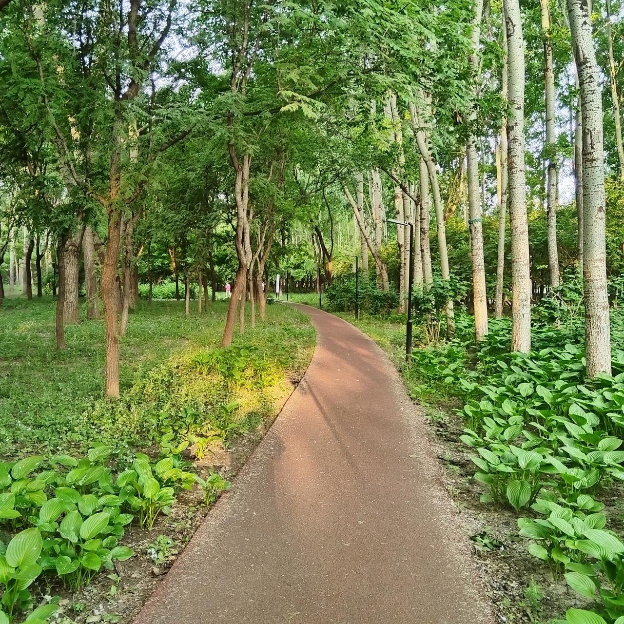 跑道弯弯