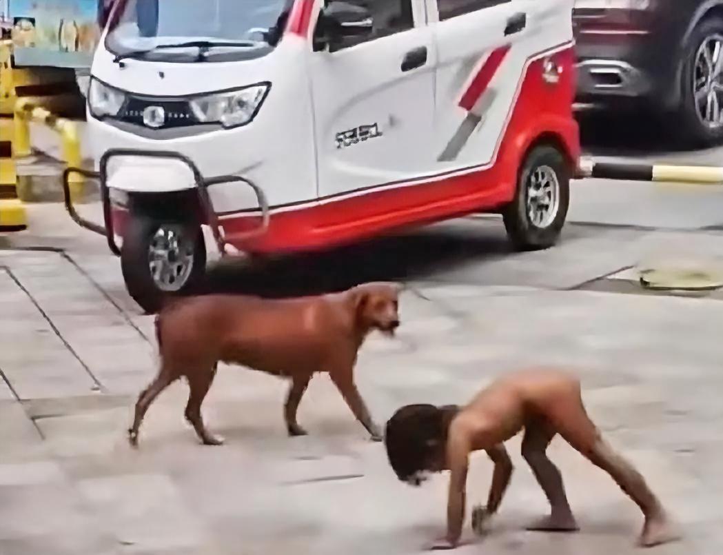 高学历父母养出