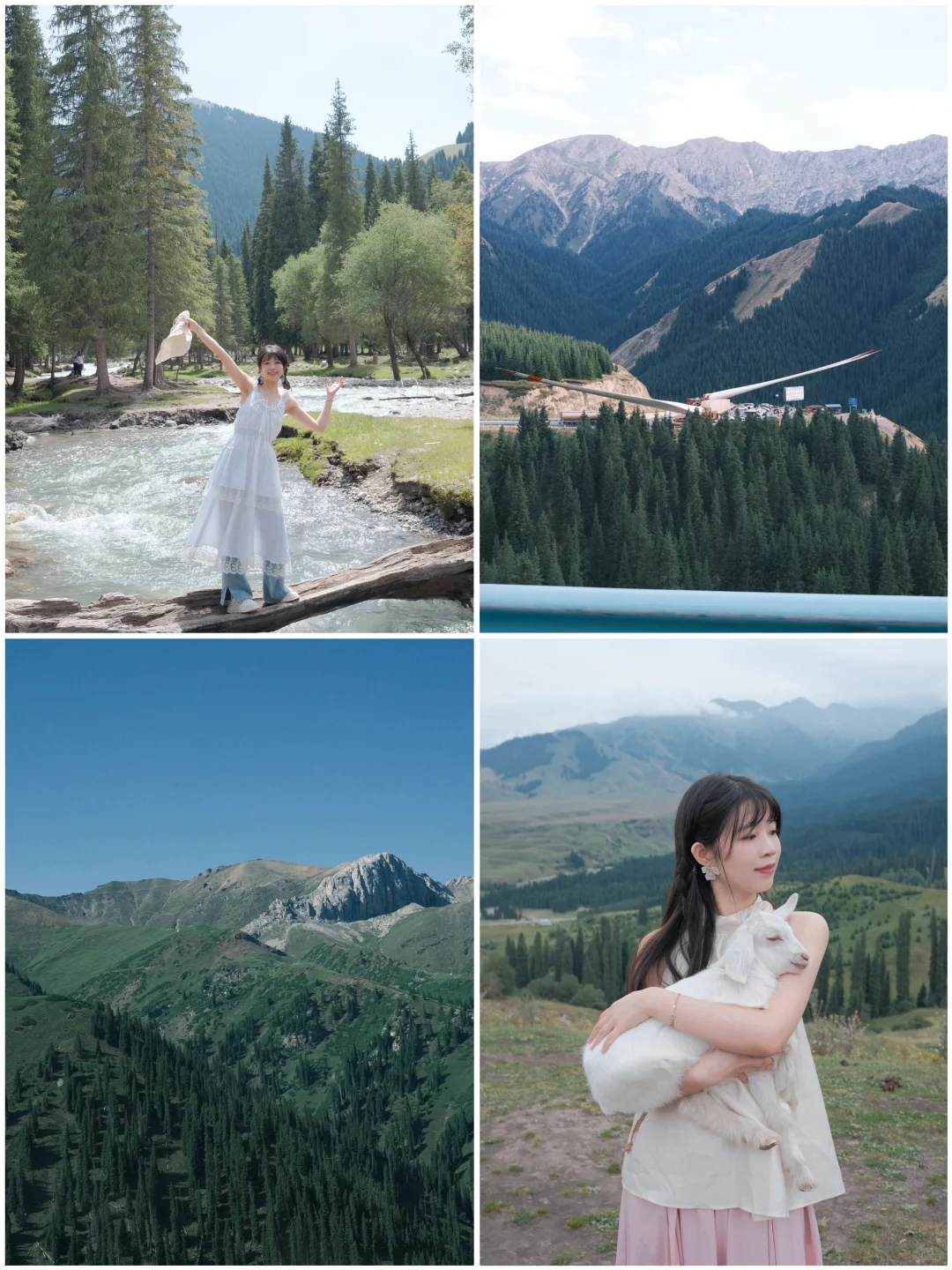 在新疆，我切实感受到了【生物适应环境】