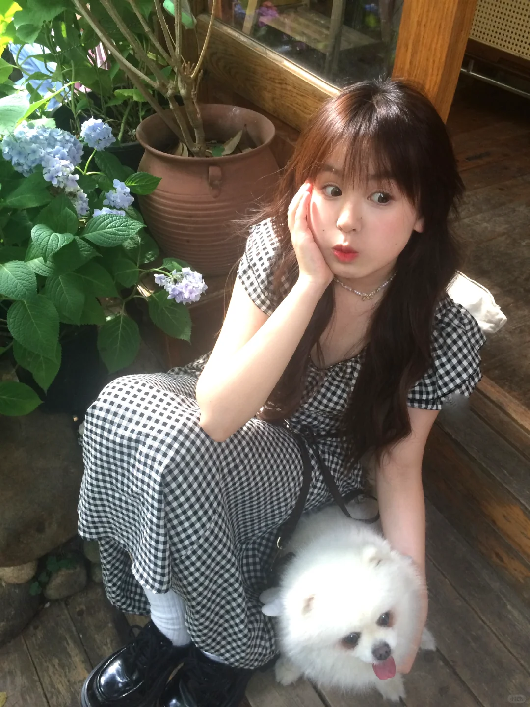 夏日午后🫧