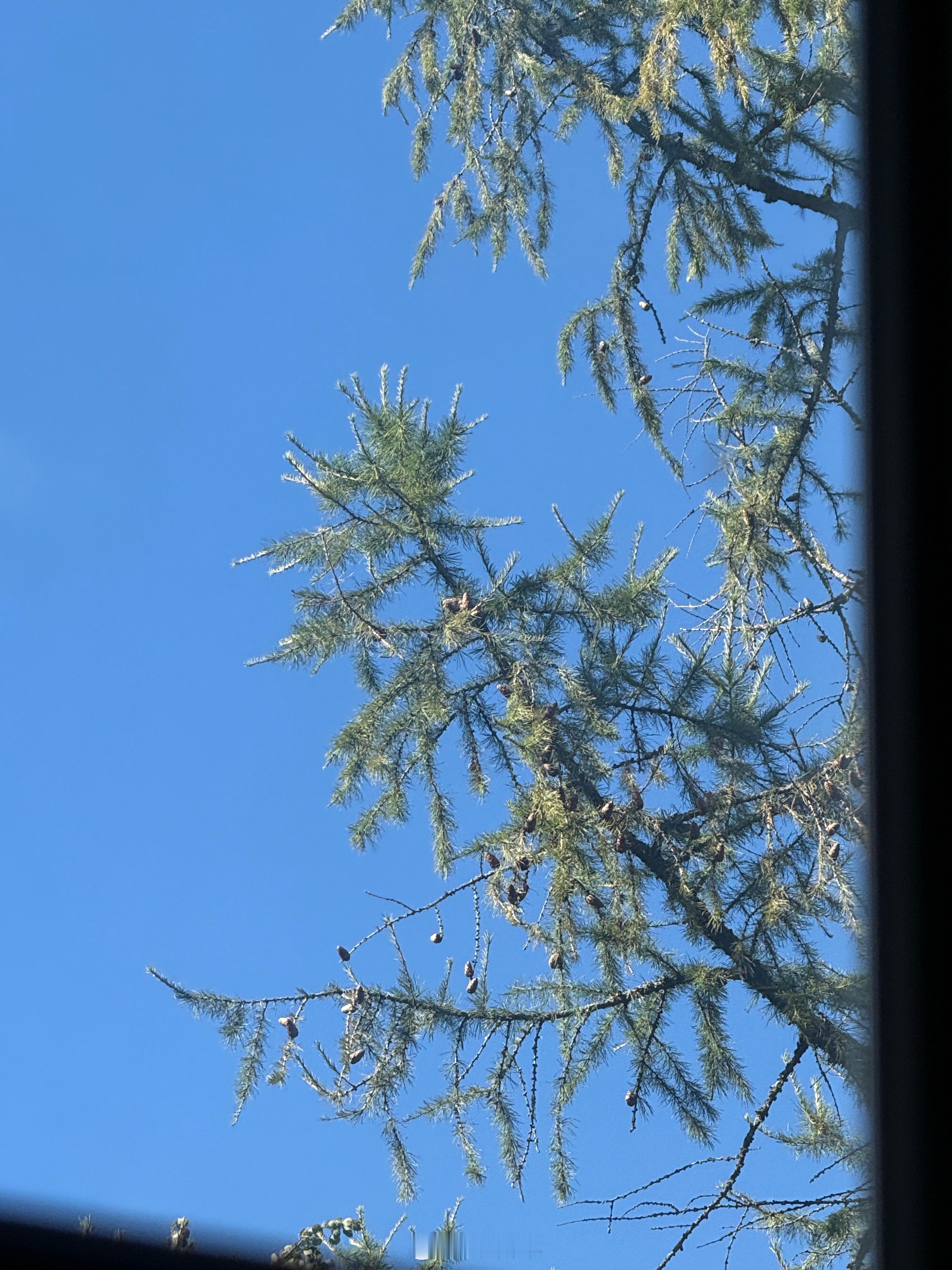 秋高气爽蓝天[超话]俄罗斯[超话]晴天[超话] ​​​
