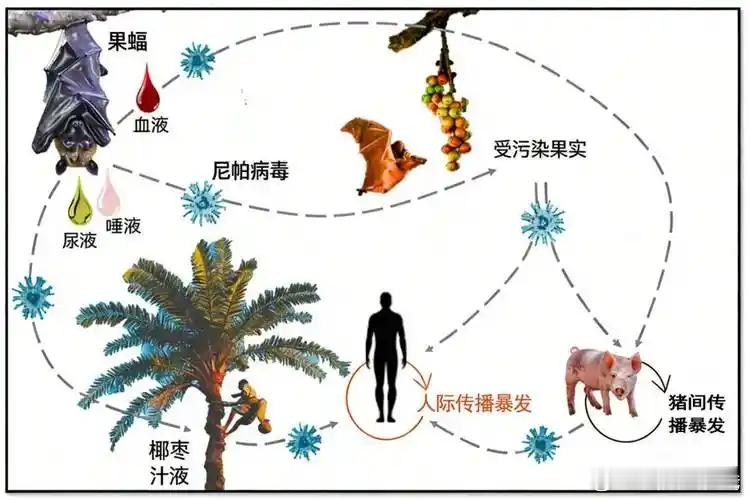 三川金盾烽火问鼎计划热点观点  军医小贴士丨冬春交替，战“疫”不松！筑牢健康防线