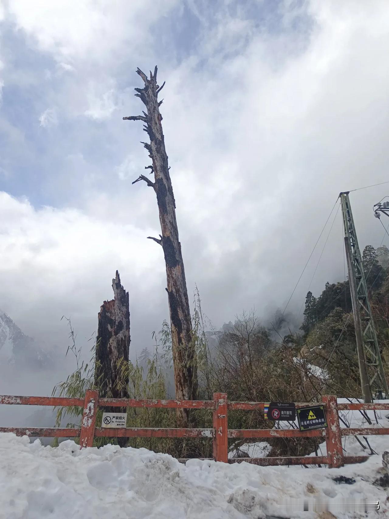 旅途中的诗：心莲

一站又一站
古老的驿路依然
风尘仆仆的旅人啊，
走过滇西，走