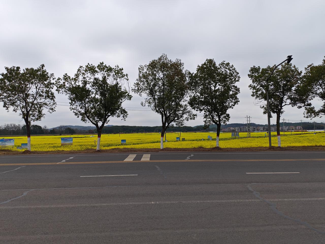 手机每天随手拍