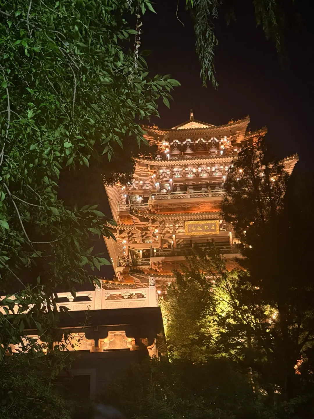 今晚你亮灯了吗