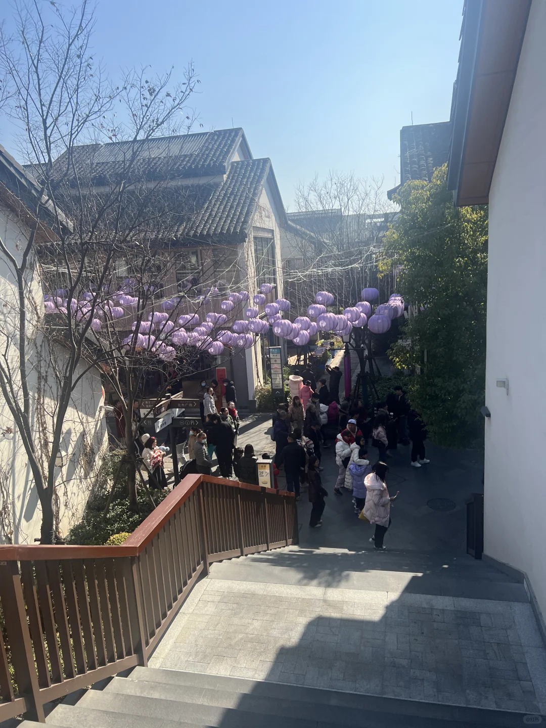 上海有一半人在蟠龙天地？