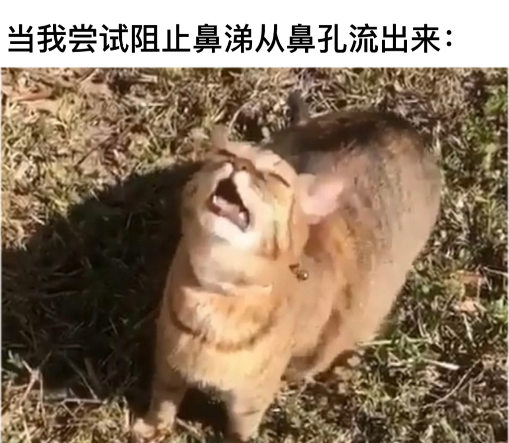 好喝 