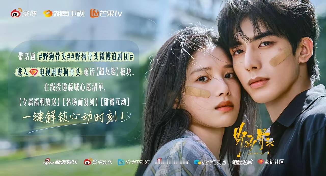 《野狗骨头》与《灿若繁星》开始拉开差距了，虞书欣要输了！昨日云合数据出来了:张婧