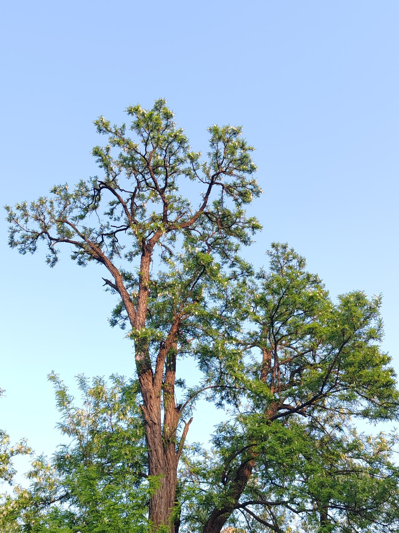 美国应当认清现实，去制裁一个根本不惧你的对手，除了让你颜面尽失，毫无用处。与其在