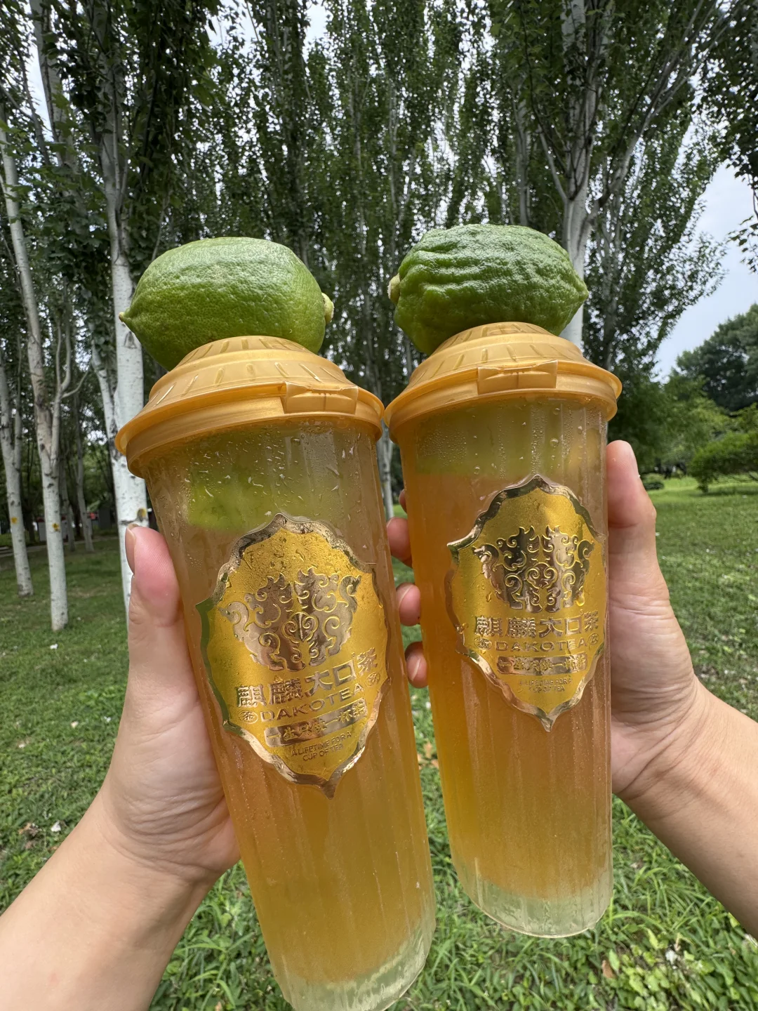 北京top1好喝的茶饮