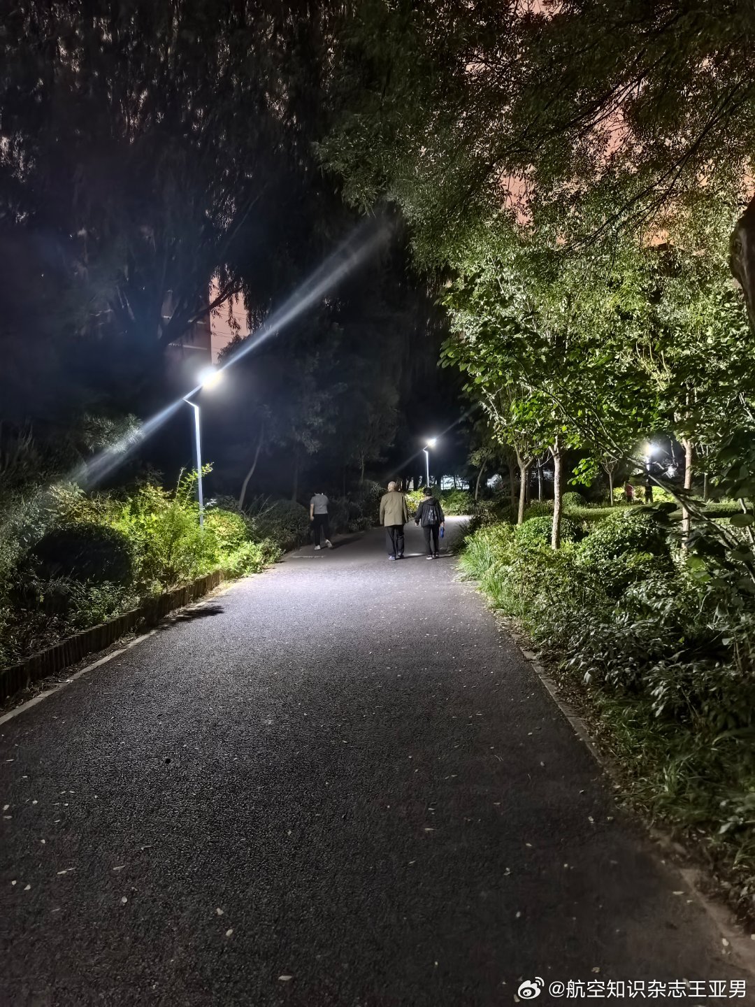 一场雨，孩子们都跑了，好个清静。 ​​​