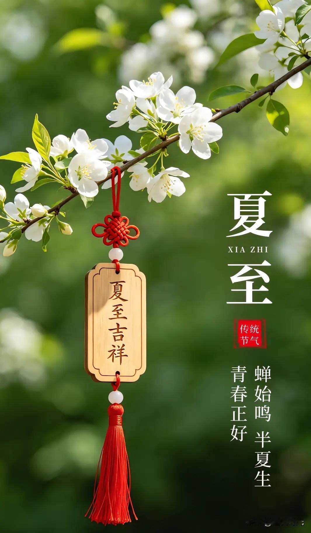夏至来了，也是二十四节气里最先定下来的节气。这天白天最长、影子最短，盛夏才算真正