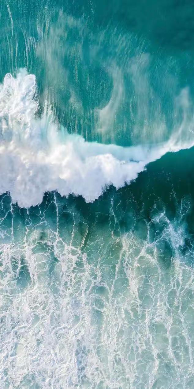 禅门中有一桩旧案，少有人知。
南怀瑾先生曾提及：“达摩祖师东来，晚年遭嫉，五次被