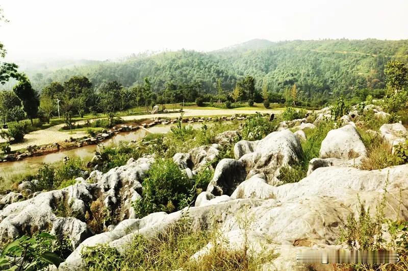 卧龙岗，形似巨龙欲腾飞

       在襄阳隆中一片苍松翠柏的山岗上，裸露出一