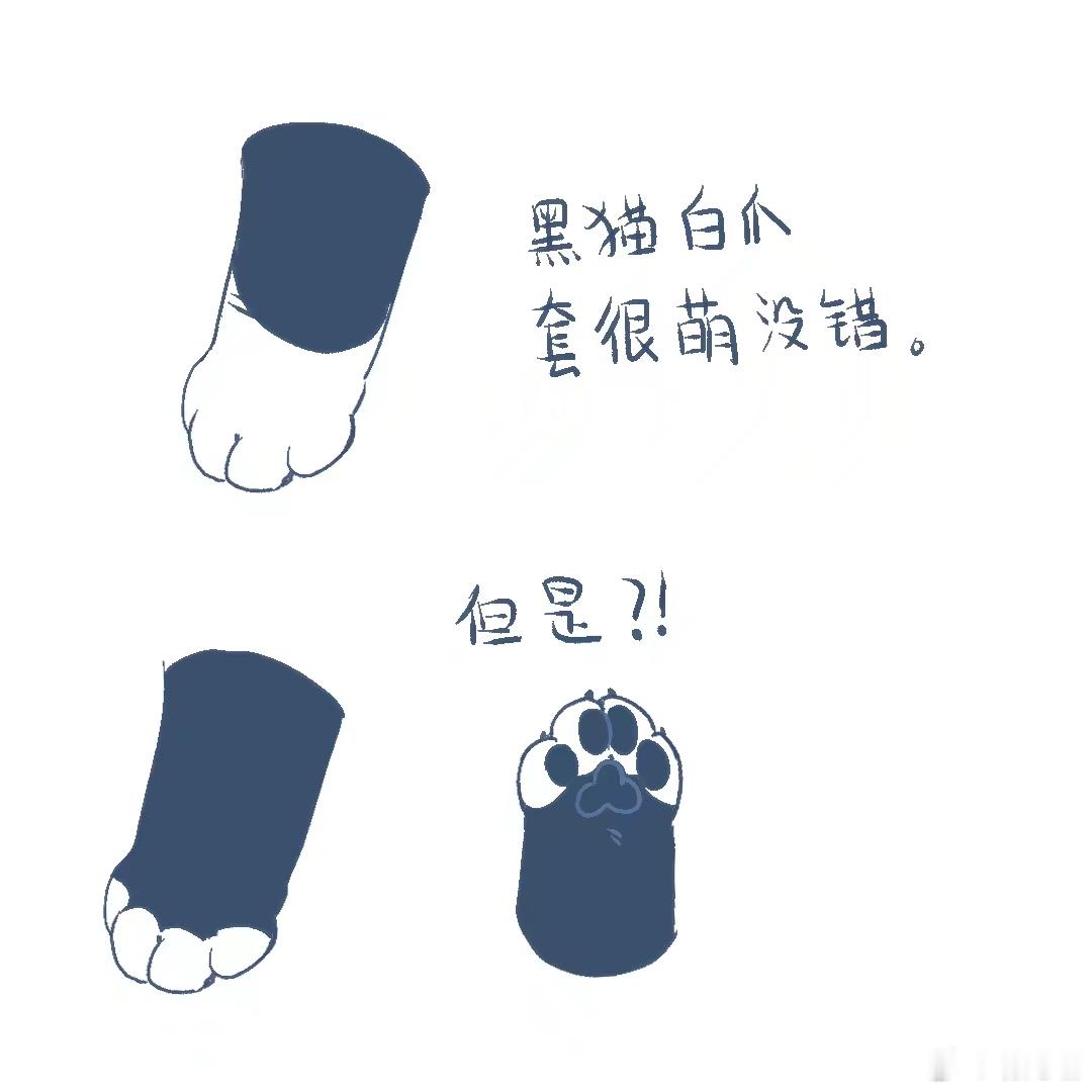 谁懂 