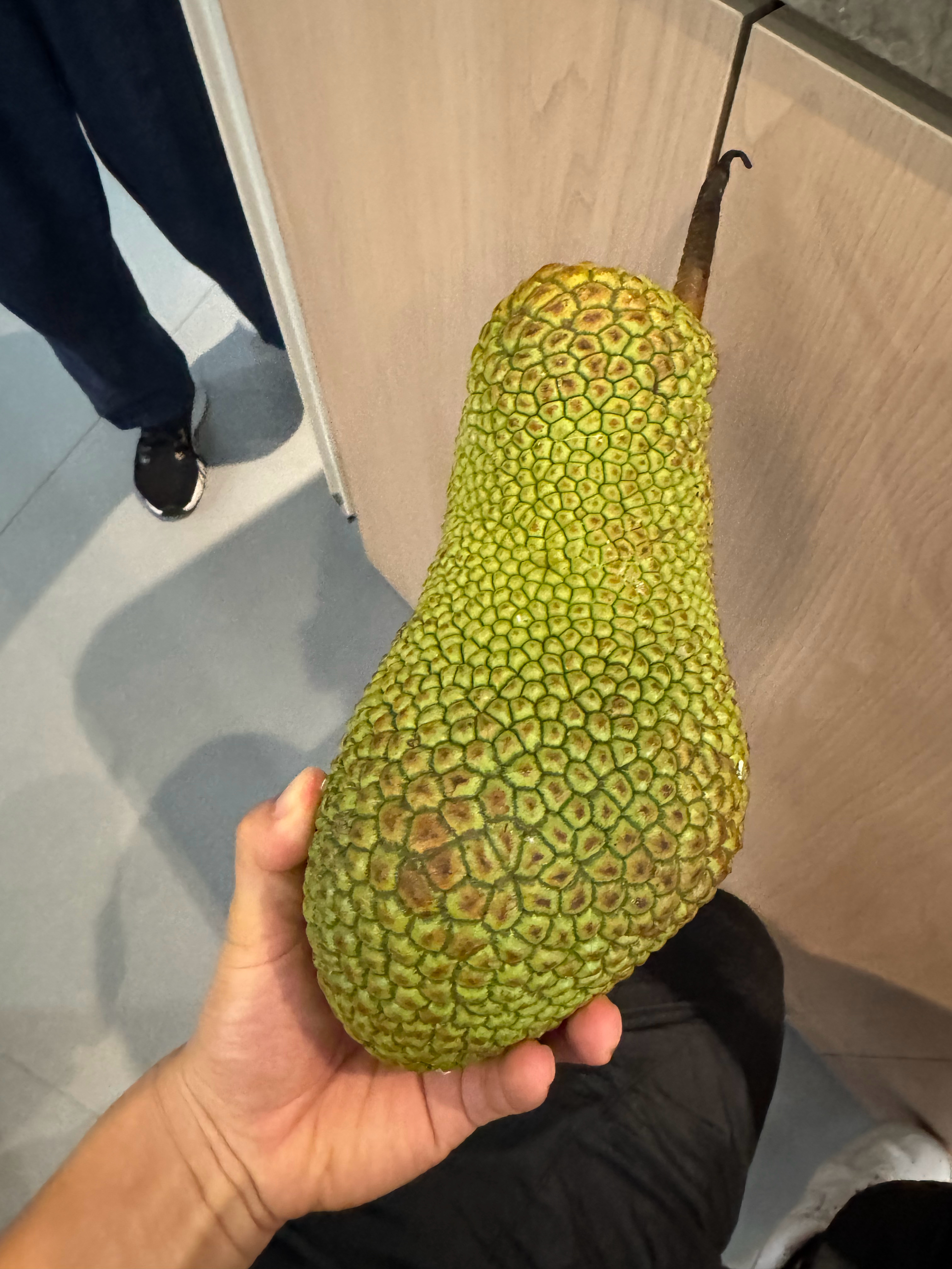 朋友送来的热带水果 ​​​