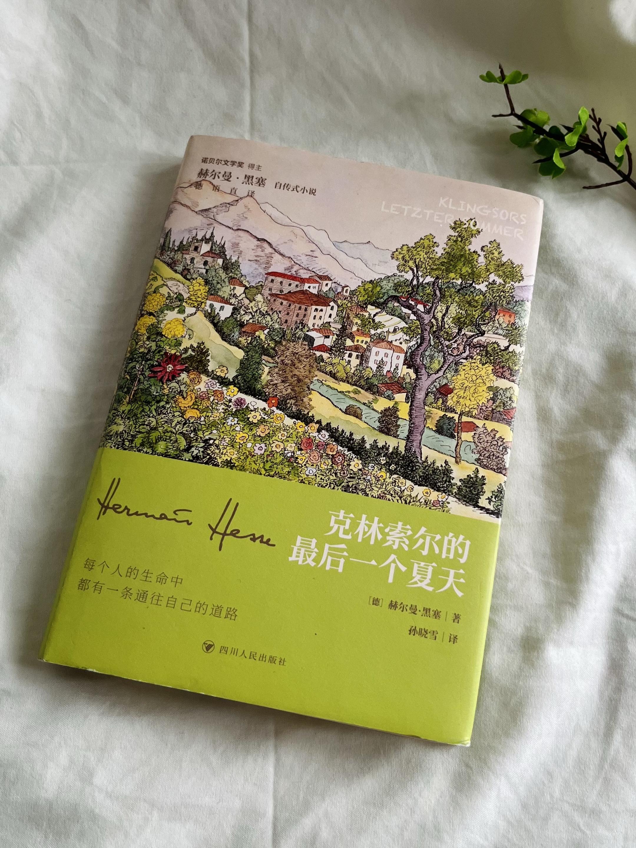 “我别无所求，只想被阳光晒透”夏日必读好书——《克林索尔的最后一个夏天...