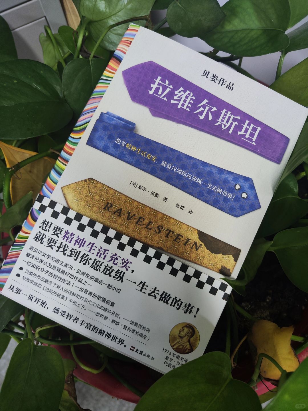 第457本：《拉维尔斯坦》，也许被低估了🕊️