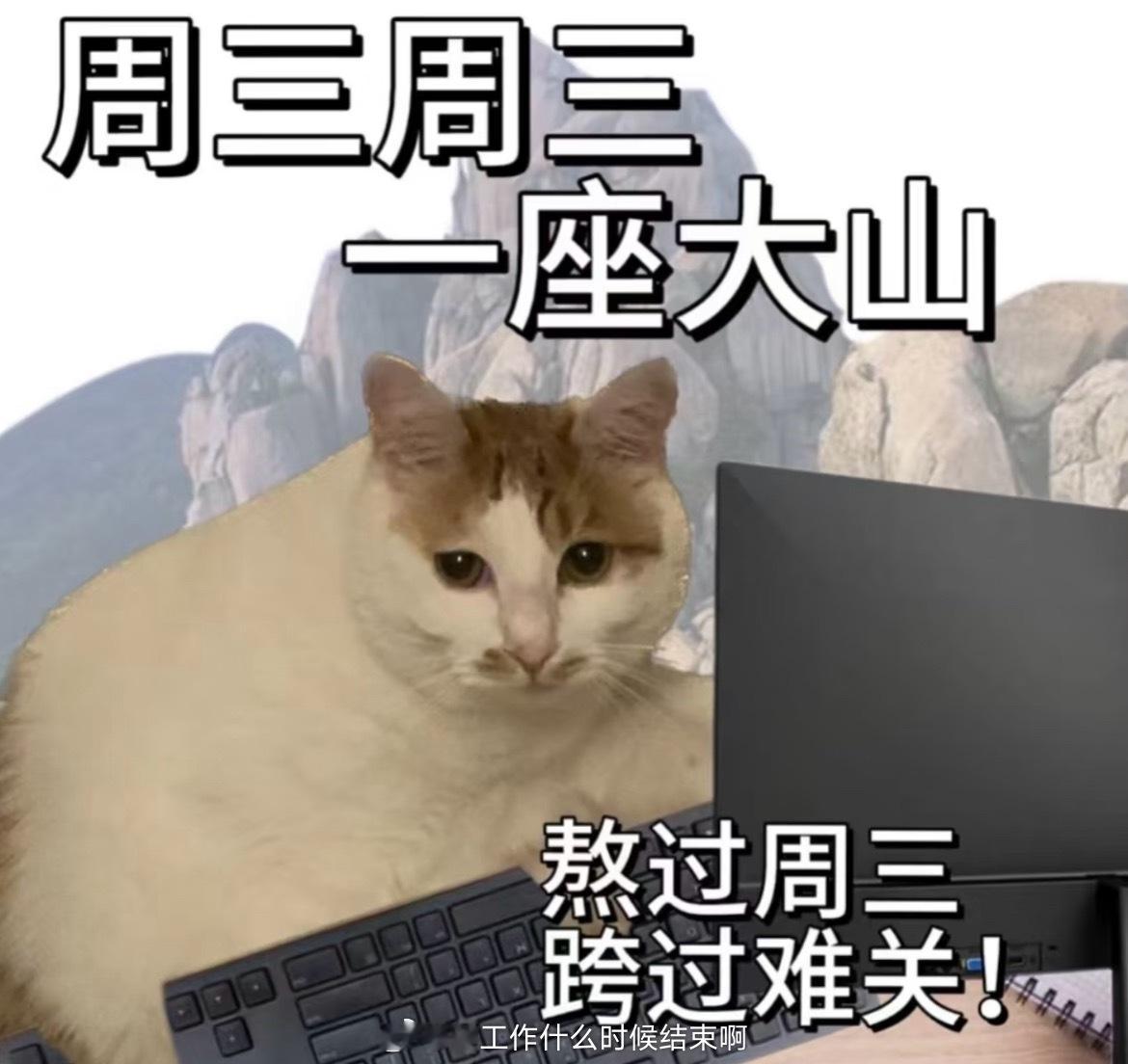 [老师好]终于到了周三， ​​​