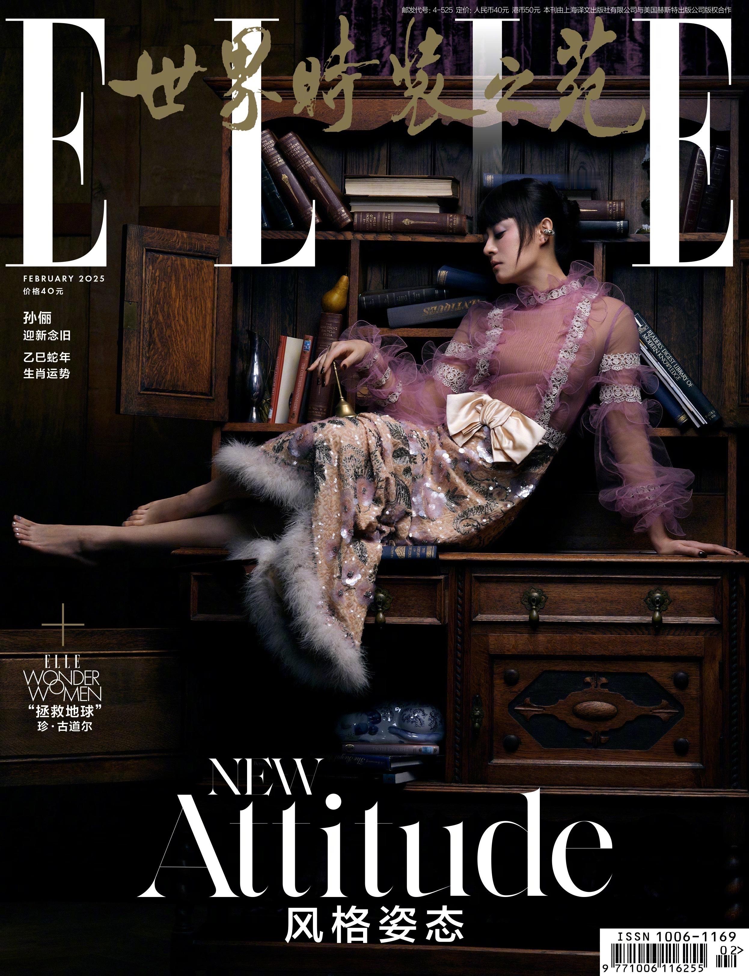 孙俪ELLE2月刊封面  看了孙俪ELLE2月刊封面让人非常的惊艳，被这气场给拿