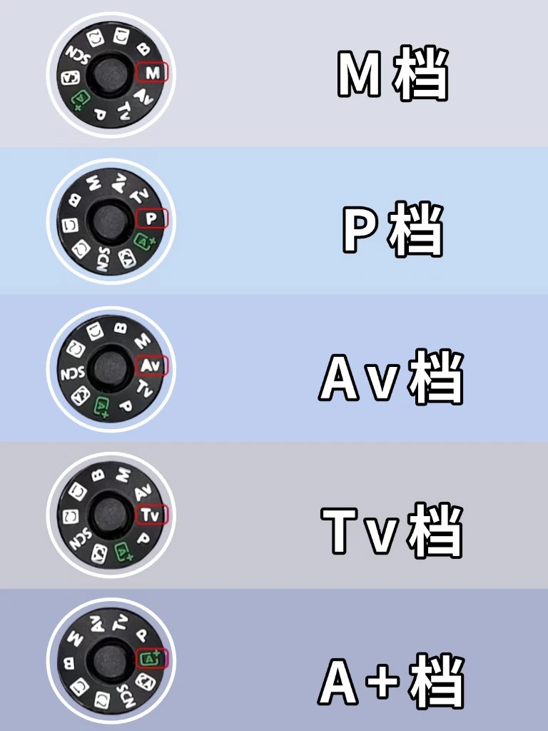 当我学会了相机五大档位‼️