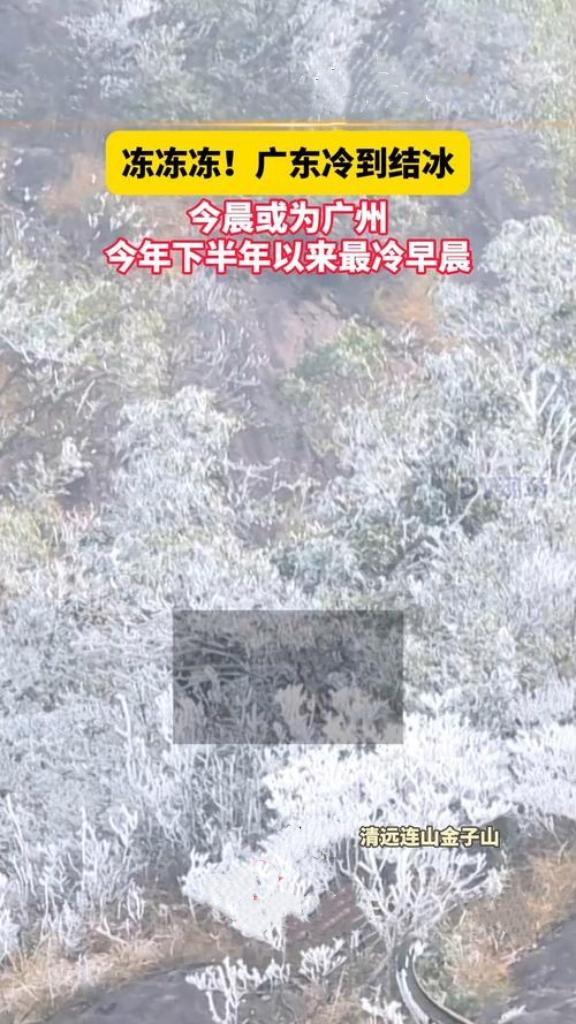 广东冻到“结冰”啦！寒潮突袭，往日温暖如春的南粤大地，瞬间银装素裹，水管冻结、路