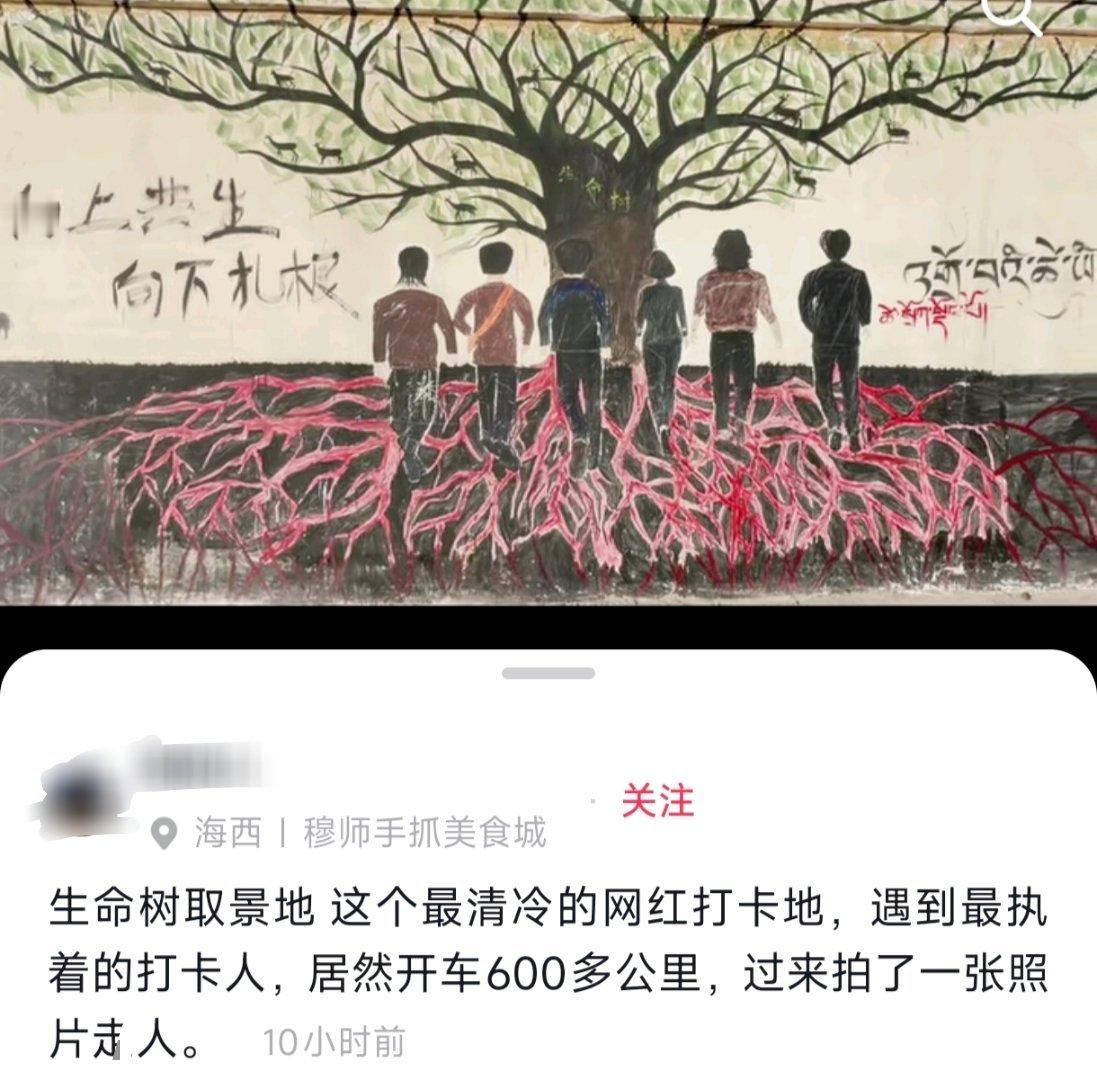 生命树的吸引力续航力好强，驱车600公里去取景地打卡，真的很执着了