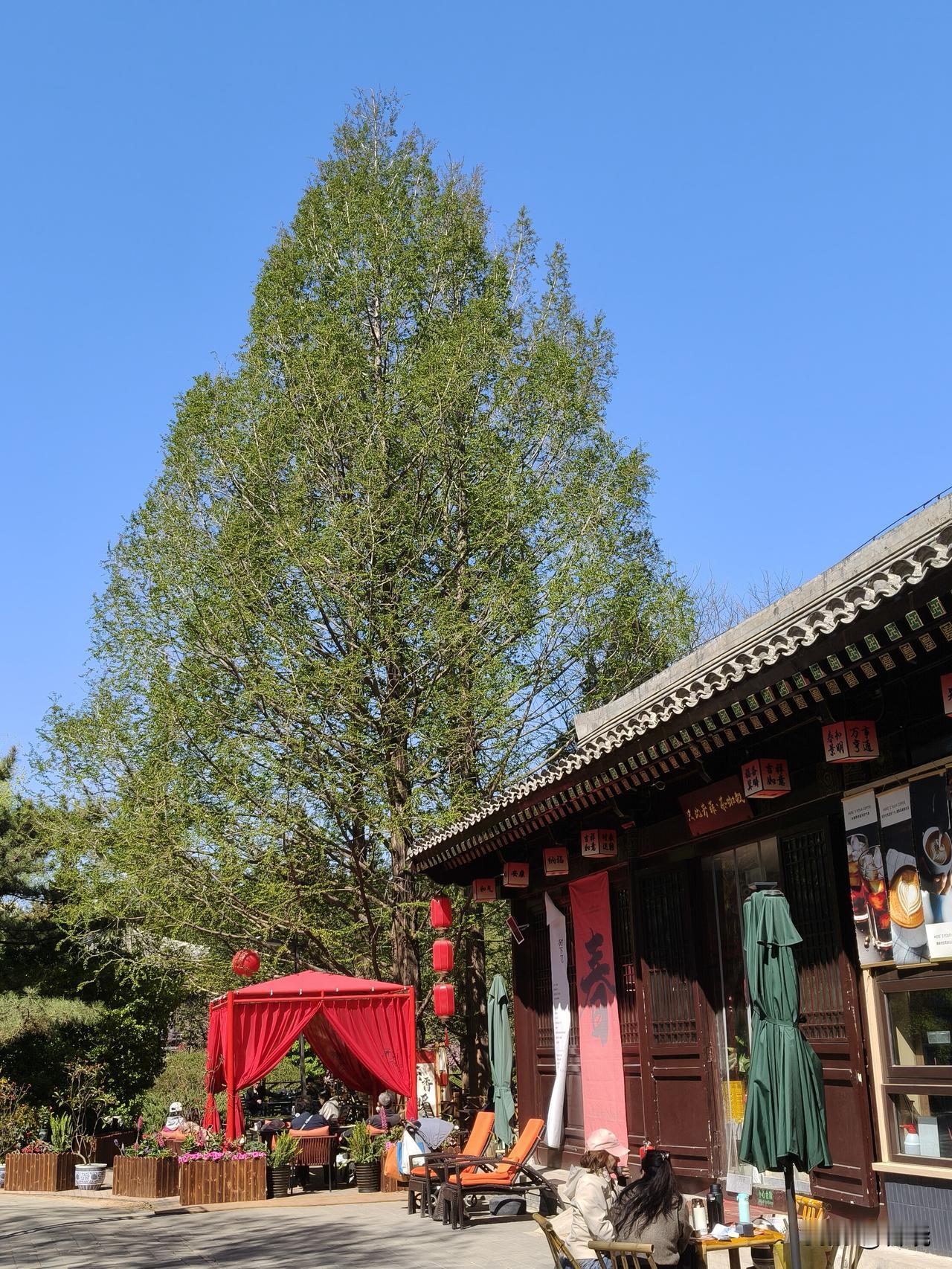 七十岁的人,最大的幸福是什么?
吃想吃的东西，喝喜欢的饮品，干自己想干的事，就是