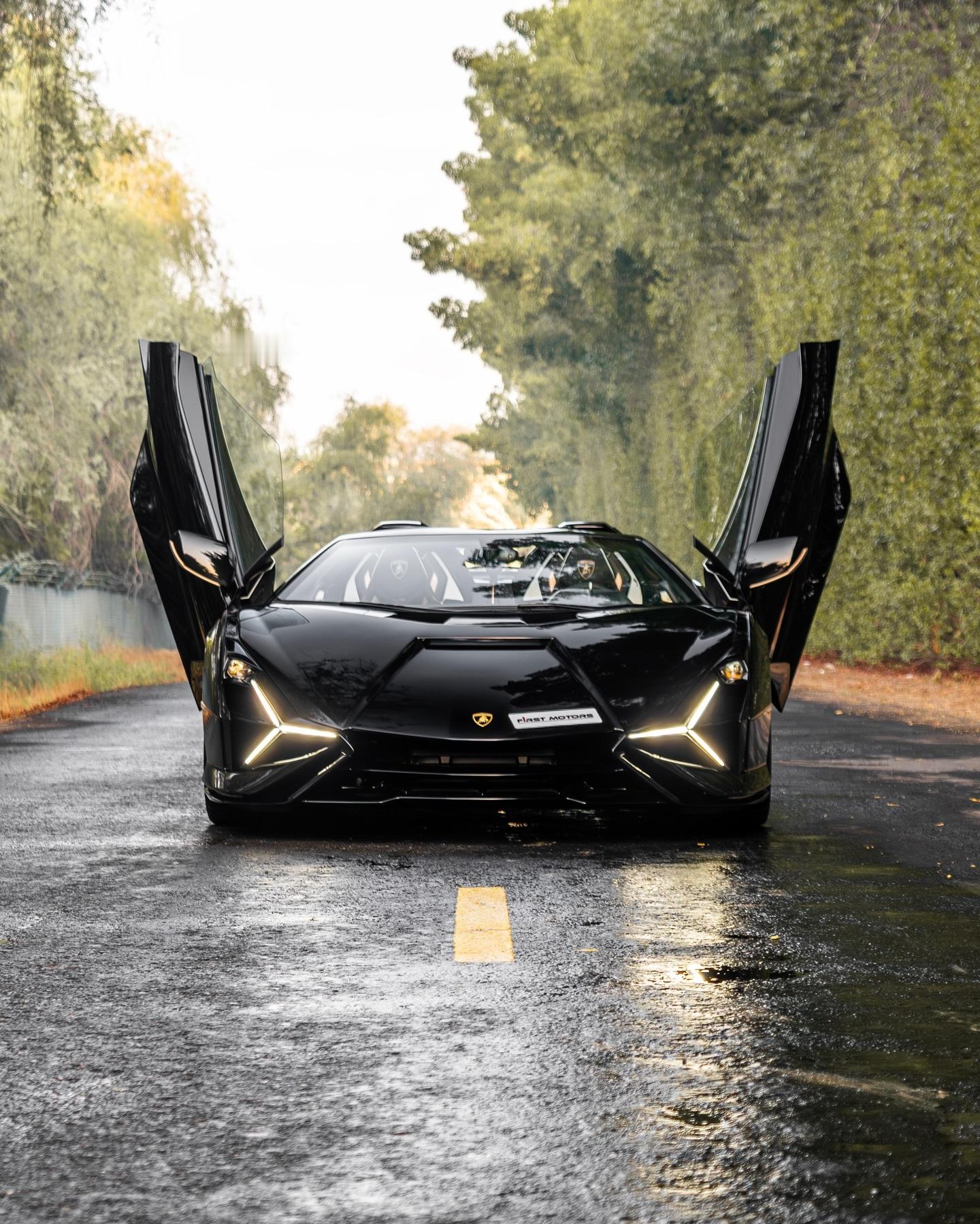 Lamborghini Sian Roadster 兰博基尼 太酷炫！ 