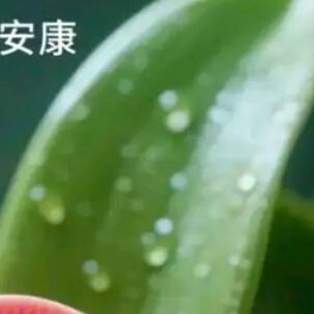 朝阳升起，开启充满希望的一天。新日子里，愿你满怀希望，收获成功。奔跑吧少年