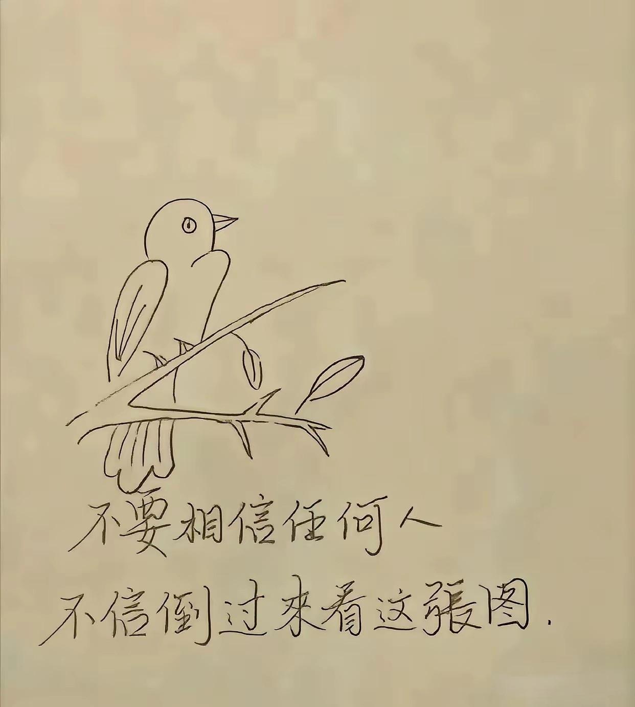 人怎么可能不相信任何人呢，不信你试试看。