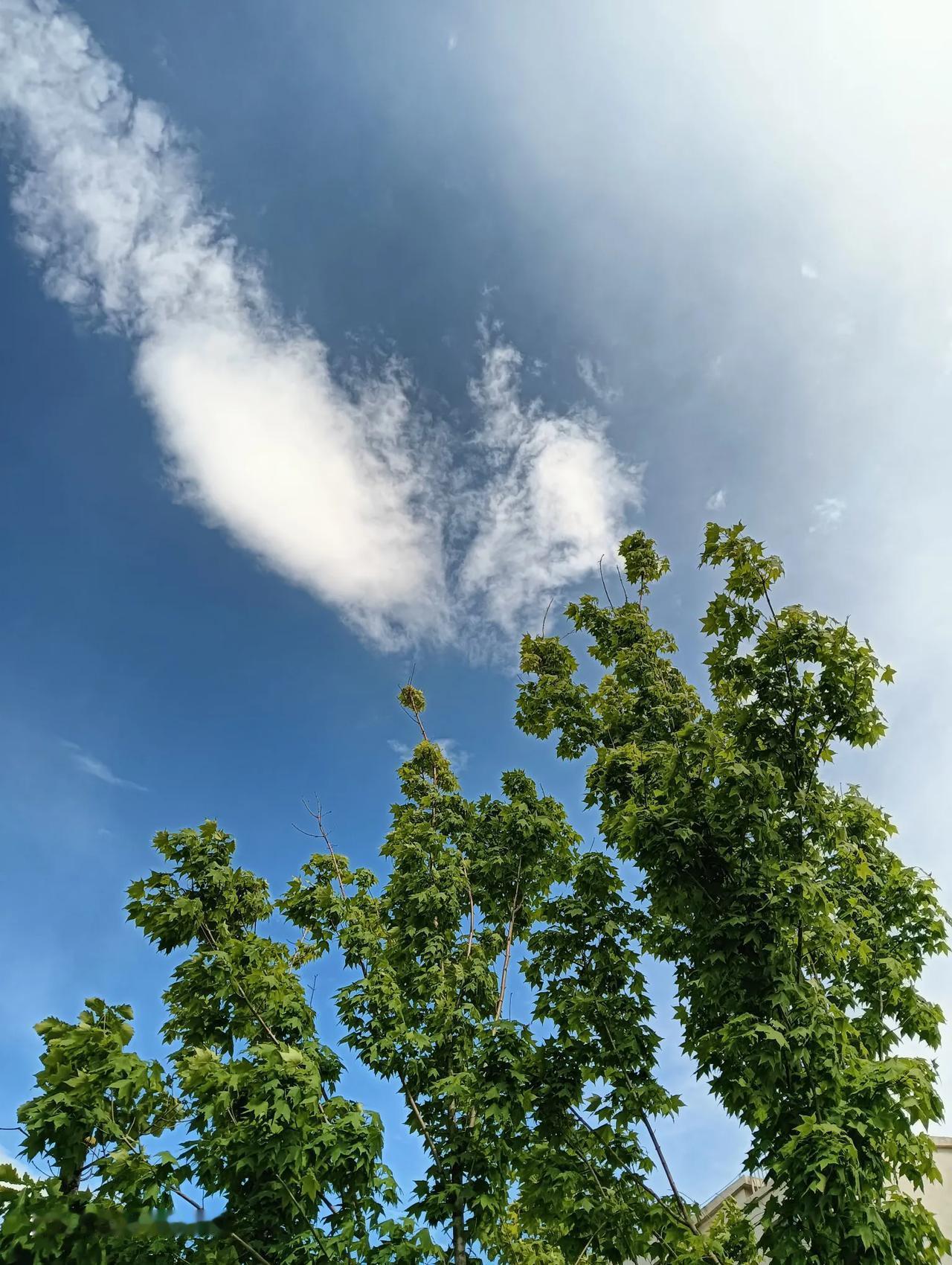 网友说：人过分节省，省下来的将是一个廉价的人生。