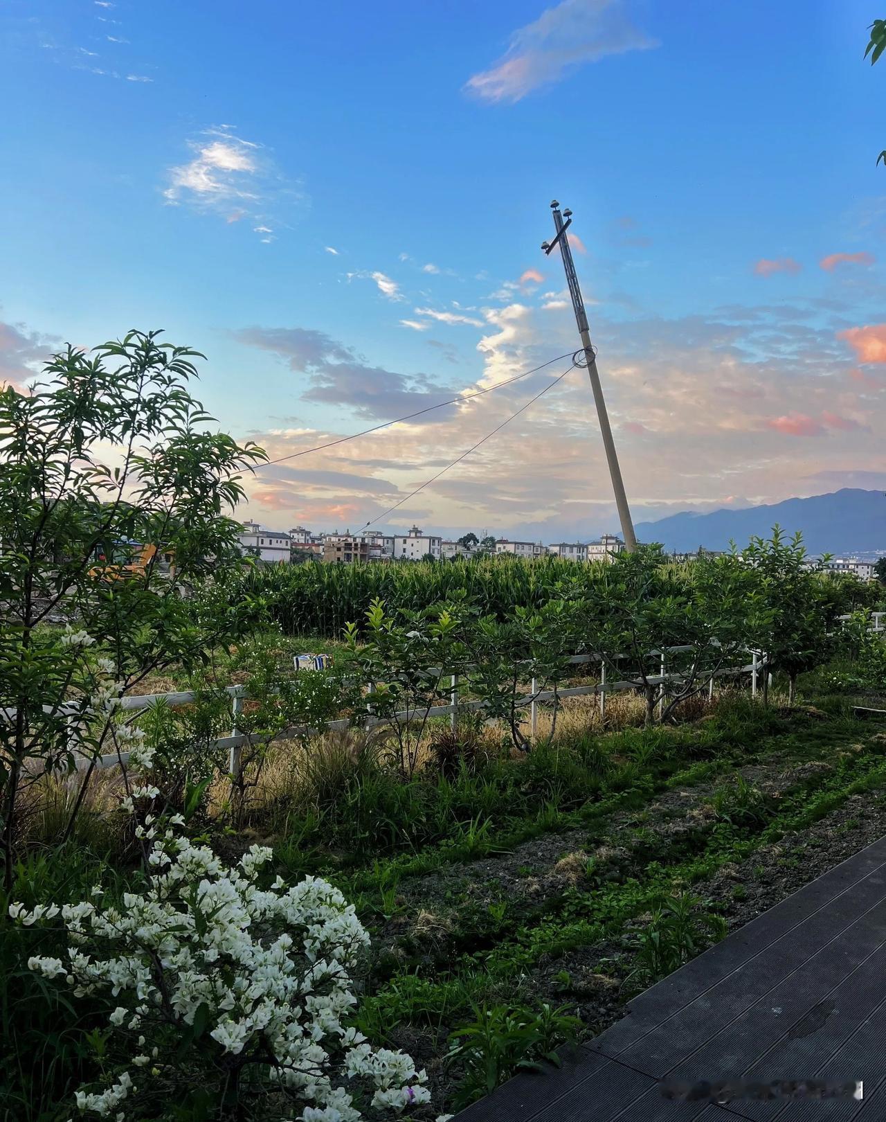 你只活一次
所以你还在怕什么
怕输怕没钱
还是怕你喜欢的人
不喜欢你
这个世界上