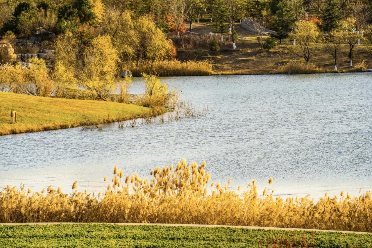 【别人怎么看你，和你毫无关系，你要怎么活，也和别人毫无关系】
         