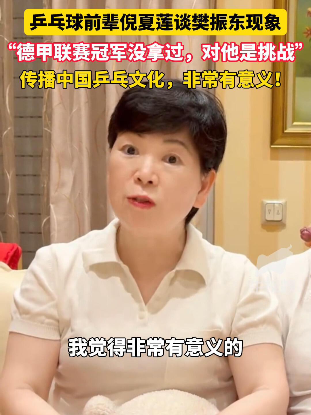 关于樊振东去德国俱乐部打球，乒乓球前辈倪夏莲终于说出客观的了，真的就是一次挑战，