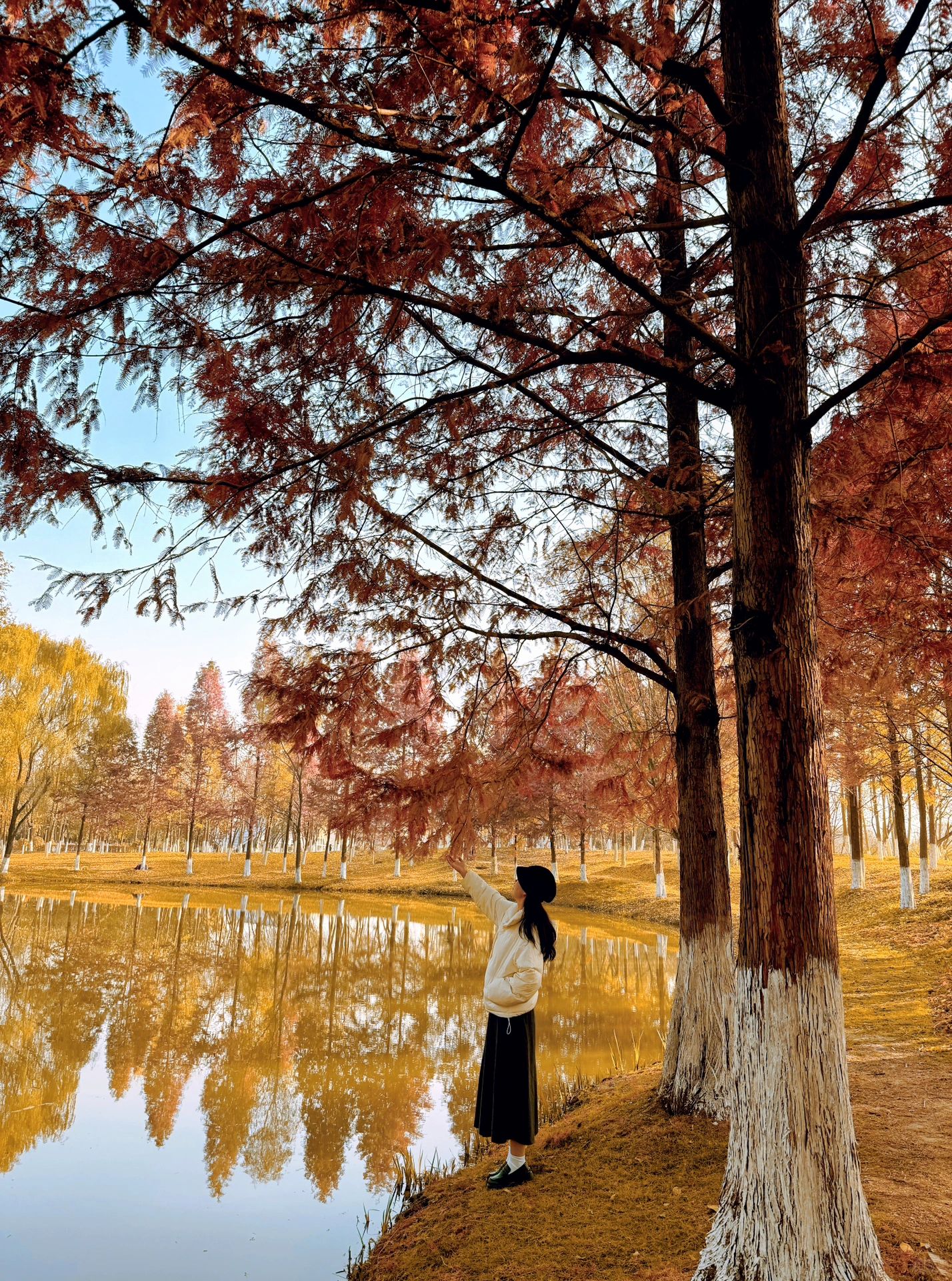 不是樊川公园！北郊也有绝美水衫啦！！