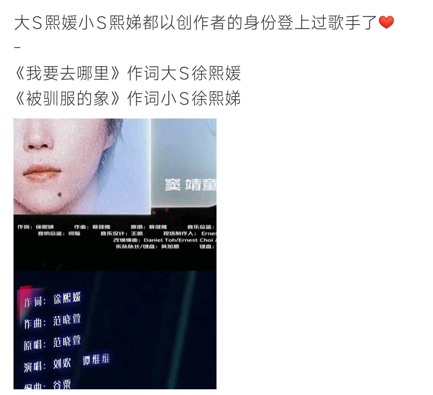 大S小S写的歌都上过歌手了徐家姐妹作词作品先后登上歌手舞台 