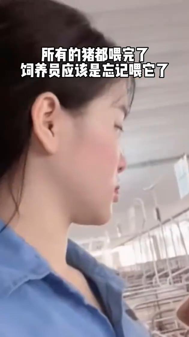 所有的猪都喂完了，饲养员应该是忘记喂它了。