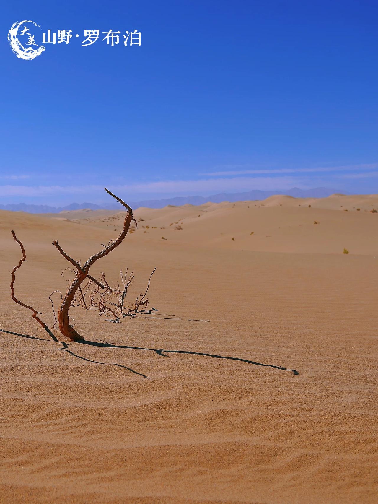 不是所有旅行都叫远征[烟花]
当卫星地图上的“地球之耳”褪去像素的伪装✨
当滚烫